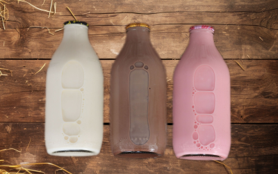 Moo-ve Over Supermarkets: JD Milk, Your Local Milkman in Penwortham, Delivers Dairy Delights!